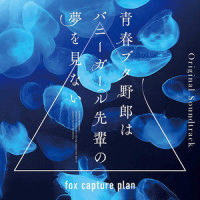 こうして、世界は桜島麻衣を取り戻した_fox capture plan