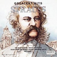 Perpetuum mobile, Op. 257 (无穷动的波尔卡,作品257)_Leonard Bernstein,New York Philharmonic,Johann Strauss Jr.
