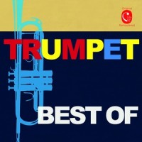 Trumpet Concerto in E Major: IV. Adagio_Eric Aubier,Vincent Barthe,Orchestre de Chambre National de Toulouse