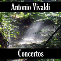 Concerto in D Major, Op- 4, R V 204 I I I- Allegro assai_Antonio Vivaldi