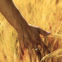 Now We Are Free_ENiGMA Dubz,Lisa Gerrard,Hans Zimmer
