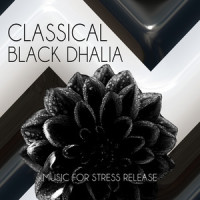 String Quartet No. 20 in D Major, K. 499: IV. Allegro (Flute Harp Version)_Black Dhalia Collection
