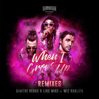 When I Grow Up_Dimitri Vegas & Like Mike,Wiz Khalifa,Jay Frog,DJ Falk