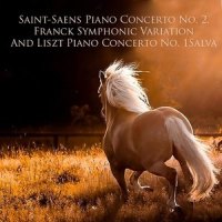 Piano Concerto No. 1 in E-Flat Major, S. 124: I. Allegro maestoso_RCA Victor Sympohony Orchestra,Alfred Wallenstein,Arthur Rubinstein