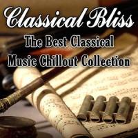 Sonata in C Major, Mov. 1 (as made famous by Wolfgang Amadeus Mozart)_Wolfgang Amadeus Mozart,US Chamber Orchestra