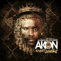 Slow Motion feat. Money J_Akon