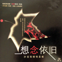 想念依旧_沙宝亮