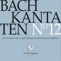 IX. Rezitativ. "Ach, soll nicht dieser Tag" (Bass)_chor,Rudolf Lutz,Wolf Matthias Friedrich
