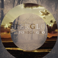 Afterglow_Pax Japonica Groove
