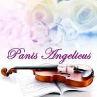 Panis Angelicus_Panis Angelicus Strings