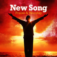 Hallelujah (Your Love Is Amazing)_Steve Wingfield