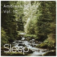 Ambient Nature Sleep Sounds, Pt. 47_Sleepy Times