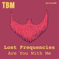 Are You With Me_Lost Frequencies