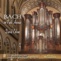 Organ Sonata in D Minor, BWV 527: III. Vivace_David Enlow