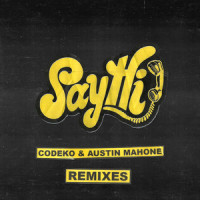 Say Hi_Codeko,Austin Mahone