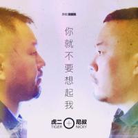 你就不要想起我_Nicky叔,虎二