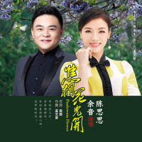 焦桐花儿开_陈思思,余音
