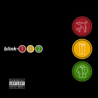 Stay Together For The Kids_Blink-182