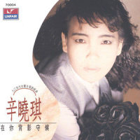 再让我许下承诺_辛晓琪