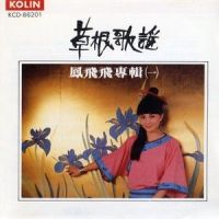 西北雨_凤飞飞