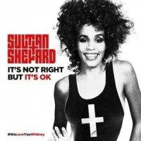 It's Not Right,But It's OK_Sultan & Shepard,Whitney Houston