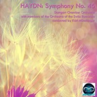 Symphony No 45 in F-Sharp Minor "Farewell": I. Allegro assai_Karl Münchinger,Stuttgart Chamber Orchestra