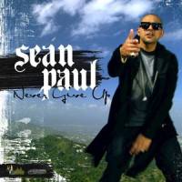 Never Give Up_Sean Paul