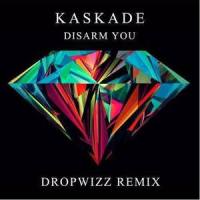 Disarm You_Kaskade,Ilsey,Dropwizz