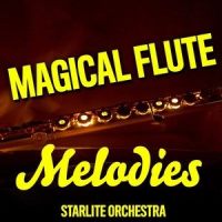 I Believe I Can Fly_R. Kelly,The Starlite Orchestra