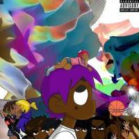 Canadian Goose_Lil Uzi Vert