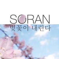 벚꽃이 내린다_SORAN