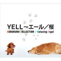 Kaze_Relaxing Orgel