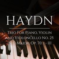 Haydn Trio for Piano Violin and Violincello No. 25 in G major, Op. 70, 3_The St Petra Russian Symphony Orchestra,Joseph Haydn,Bernardo Kuznetsov