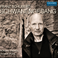 14. Die Taubenpost. Ziemlich langsam (G Major)*_Roman Trekel,Oliver Pohl