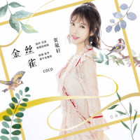 金丝雀_贺敬轩