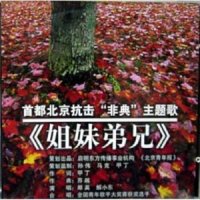 姐妹弟兄_那英,解小东