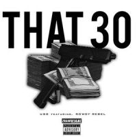 That 30(feat. Rowdy Rebel)_USG,Rowdy Rebel
