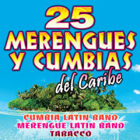 Right Here Waiting(Merengue Version)_Merengue Latin Band,Richard Marx