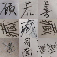 藏_司南,顾若善
