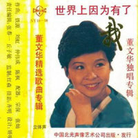 世界上因为有了我_董文华