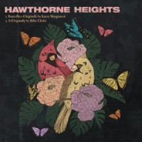 Butterflies_Hawthorne Heights,Kacey Musgraves,Luke Laird,Natalie Hemby