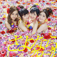 バラの果実_AKB48