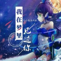 我在梦里见过你_小小浩,洛天依