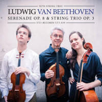 Serenade für Streichtrio in D Major, Op. 8: V. Allegretto alla Polacca_Jeroen Suys,Diederik Suys,Frauke Suys