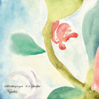 Steadfast_Nujabes