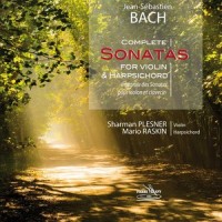 6 Violin Sonatas, Sonata No. 2 for Harpsichord and Violin in A Major, BWV 1015: III. Andante un poco_Mario Raskin,Sharman Plesner