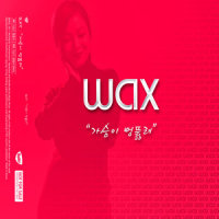 가슴이 뻥 뚫려_WAX