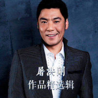 暗夜玫瑰_屠洪刚