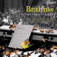 "Immer leiser wird mein Schlummer", Op. 105, No. 2 (Arr. for Viola and Piano by Ettore Causa) : Langsam und leise_Ettore Causa,Marc Pantillon,Johannes Brahms