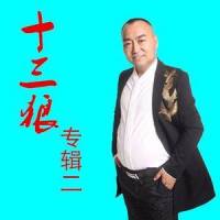 老西安_十三狼